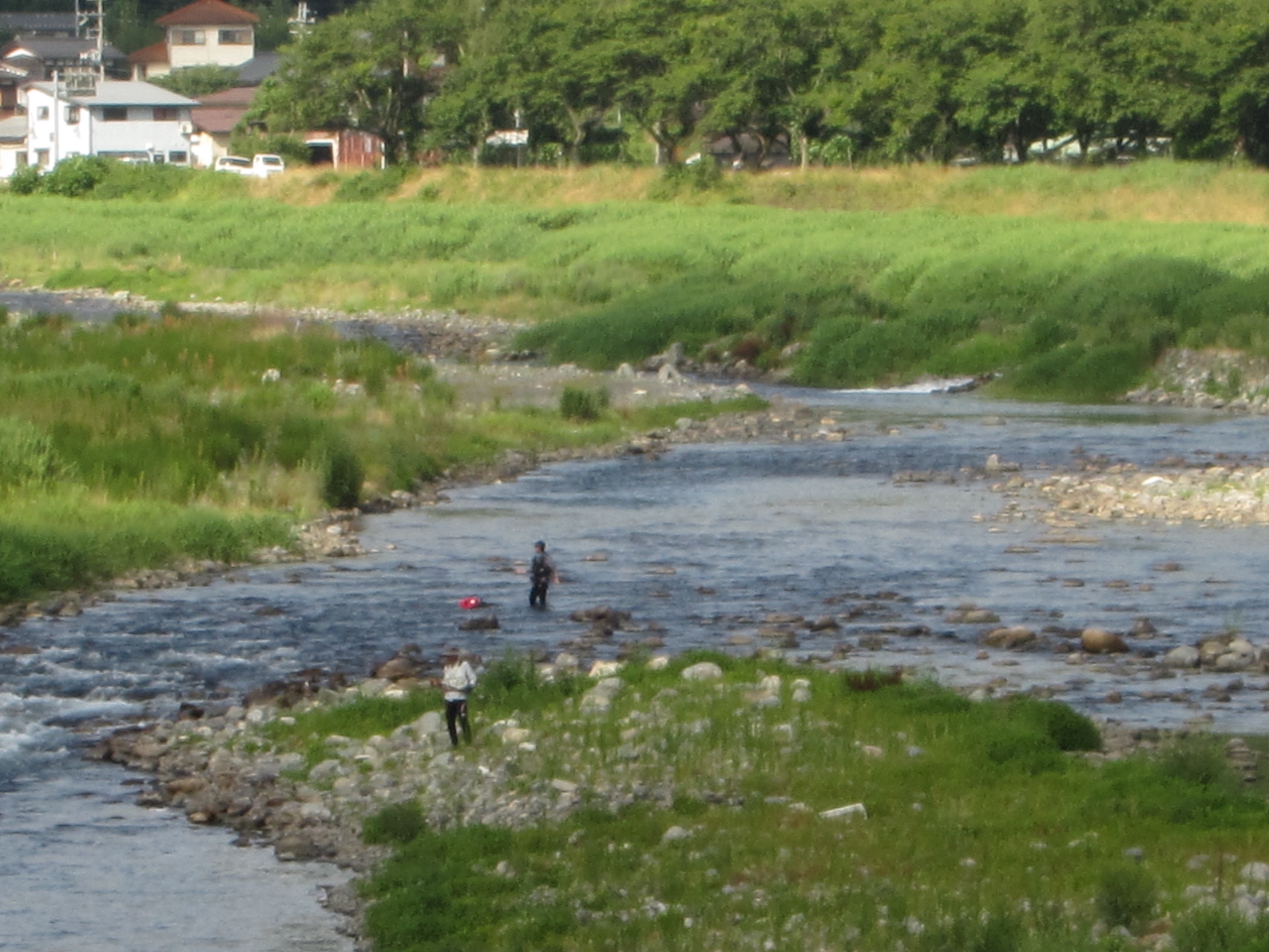 ７月１1日(金)の河川状況